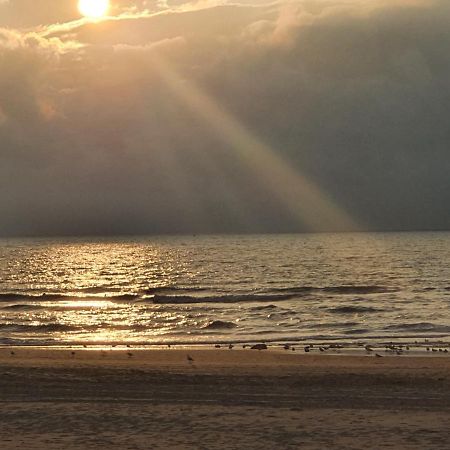 헤이그 Scheveningen Sea Side B&B 외부 사진
