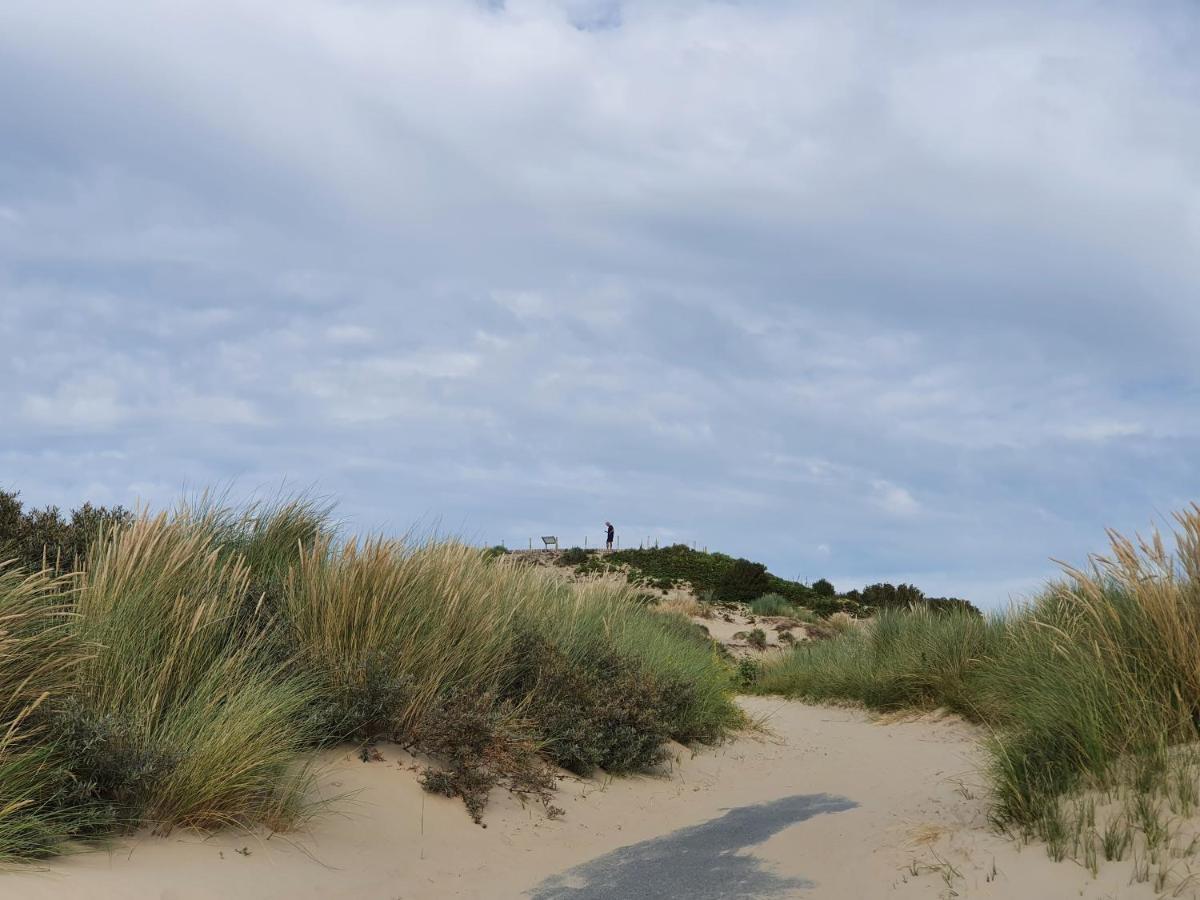 헤이그 Scheveningen Sea Side B&B 외부 사진