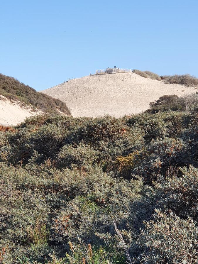 헤이그 Scheveningen Sea Side B&B 외부 사진