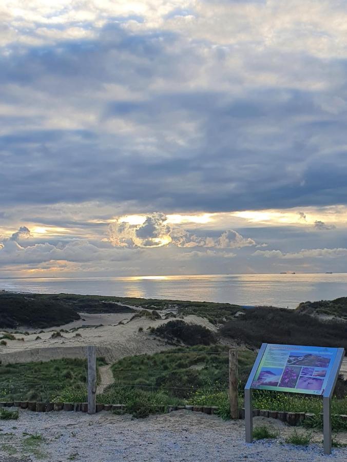 헤이그 Scheveningen Sea Side B&B 외부 사진
