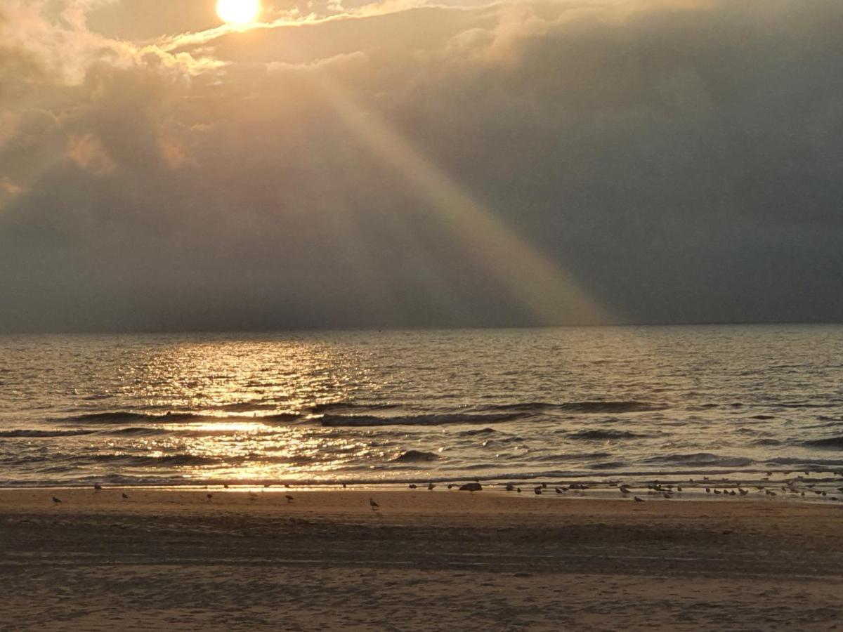 헤이그 Scheveningen Sea Side B&B 외부 사진